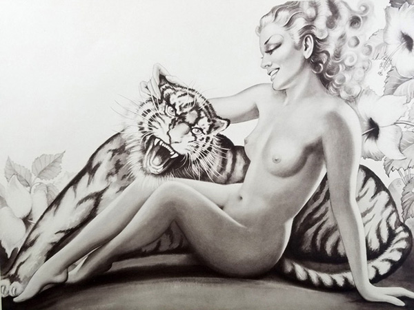 junglemorncat